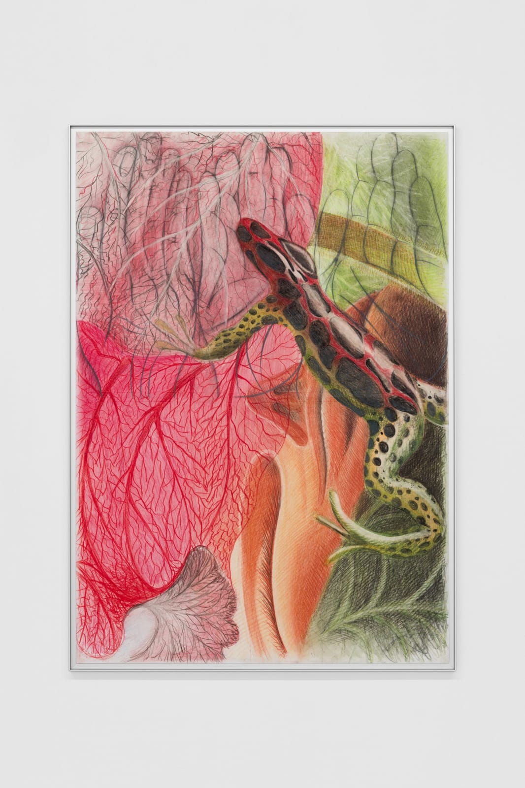 Jacopo Pagin, Transformer , 2024