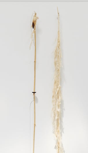 Luca Vanello, Unaware scribbles undress like foliage veins (Fragments 12), 2023
