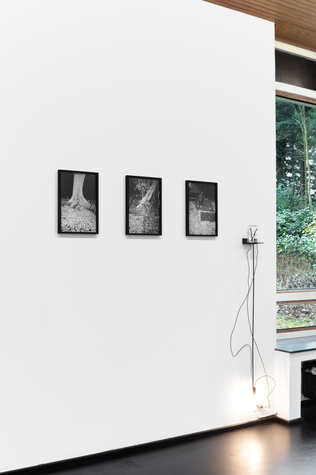 Nicolas Bourthoumieux, Deuxième Nature (II), 2023