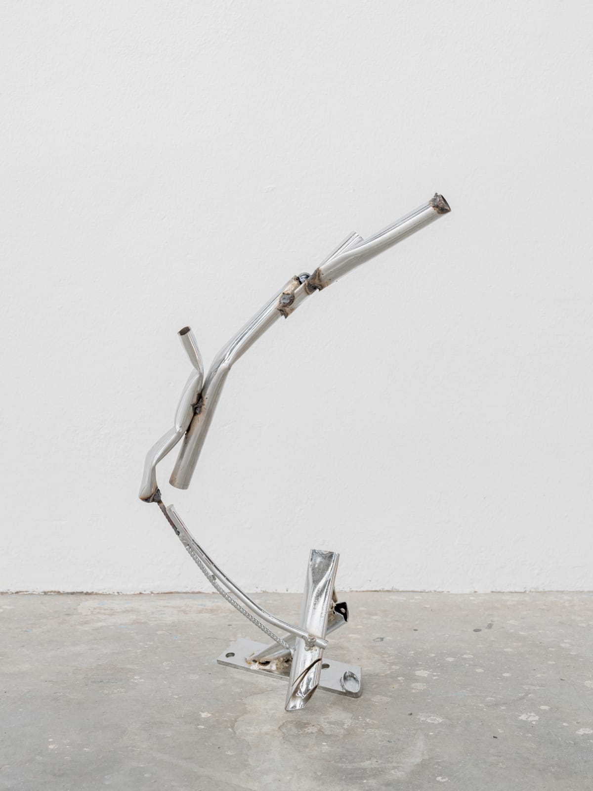 Maarten Van Roy, M16 (Eagle Nebula), 2024