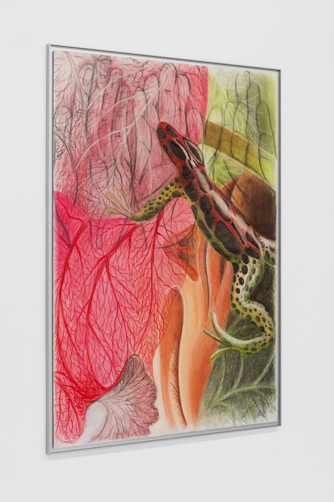 Jacopo Pagin, Transformer , 2024