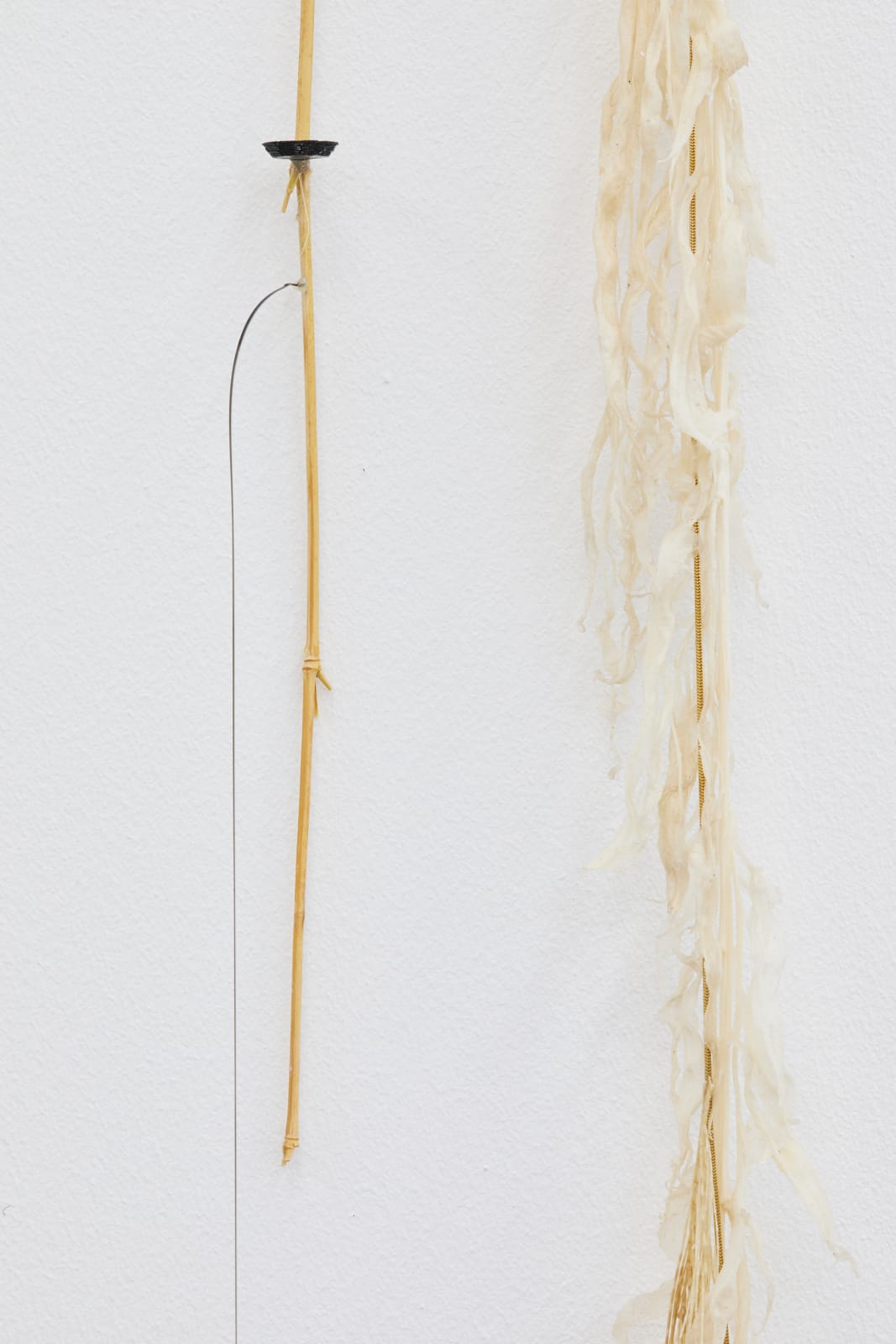 Luca Vanello, Unaware scribbles undress like foliage veins (Fragments 12), 2023