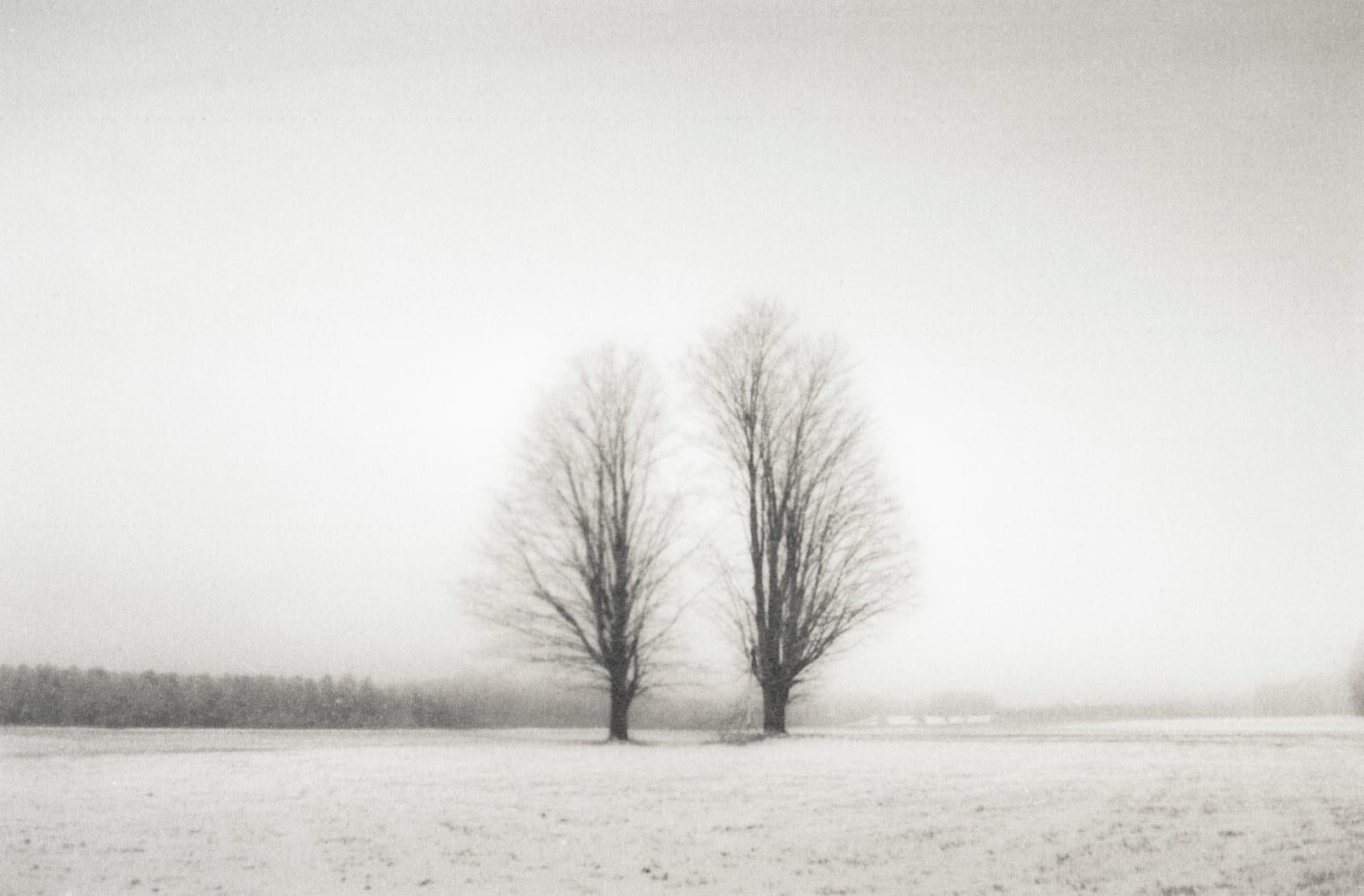 Bill Schwab, Two Maples, Emmet County, MI, 2021