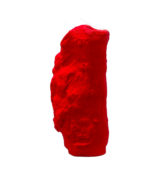 Lib, V Reddish 193, 2023