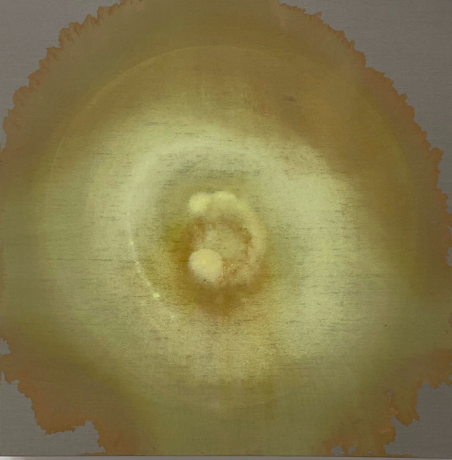 Fernanda Caballero, Rising, 2022