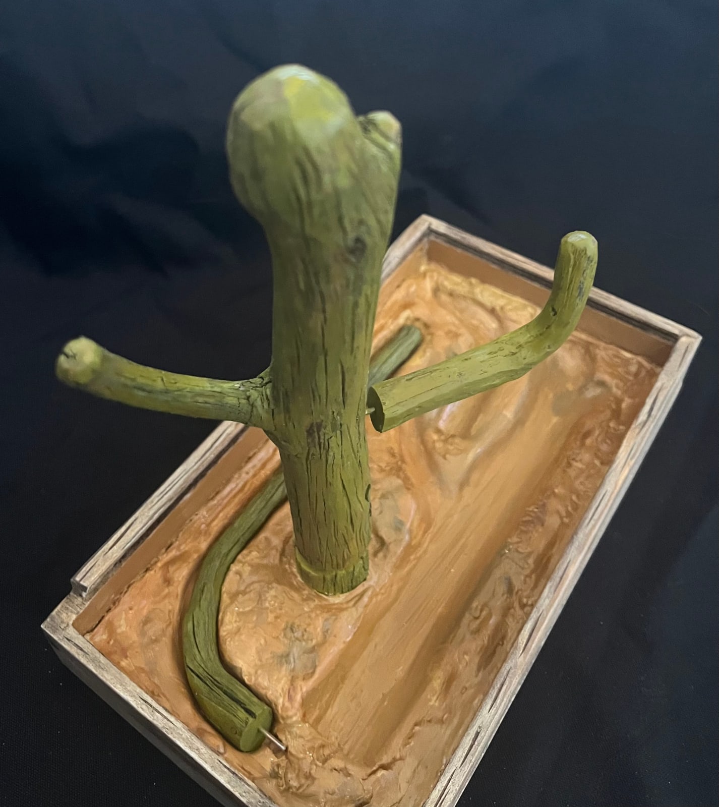 Cactus Box by Wes Mills