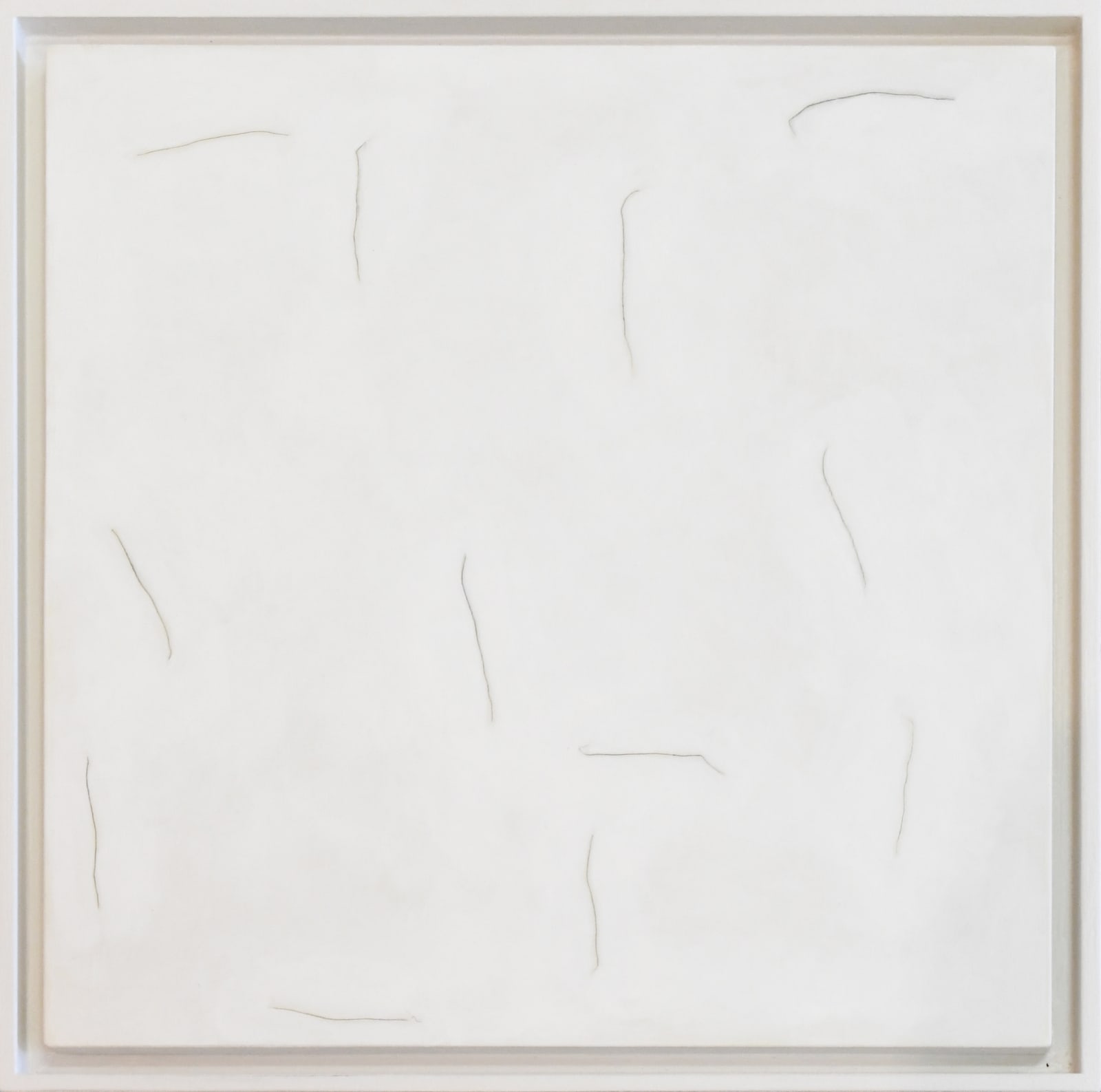 drawing by Wes Mills