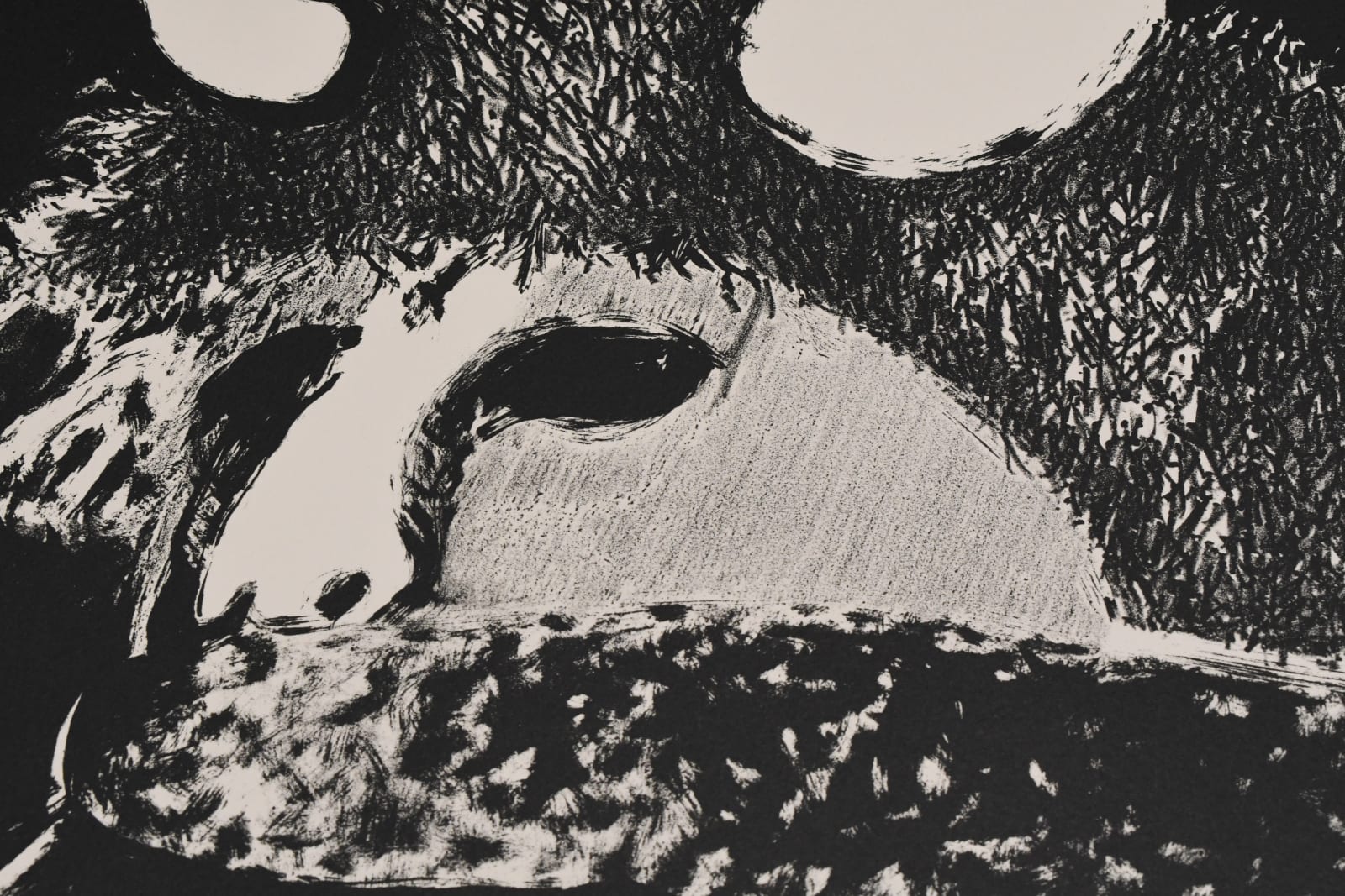 lithograph by Fritz Scholder