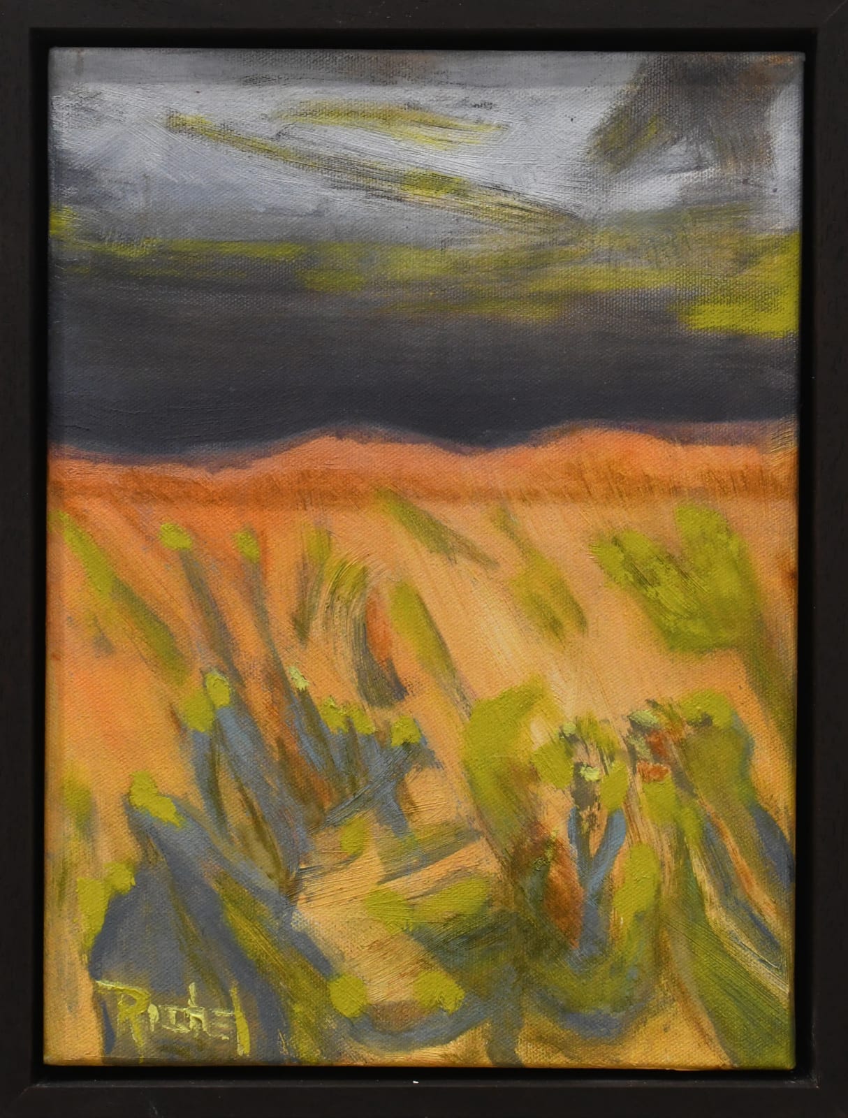 Shaun Richel, Chamisa Bloom, 2025