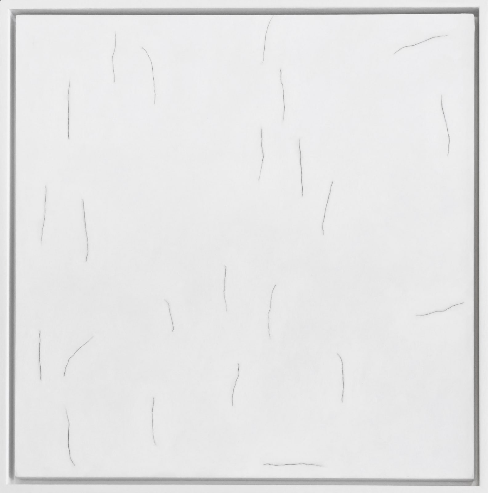 drawing by Wes Mills