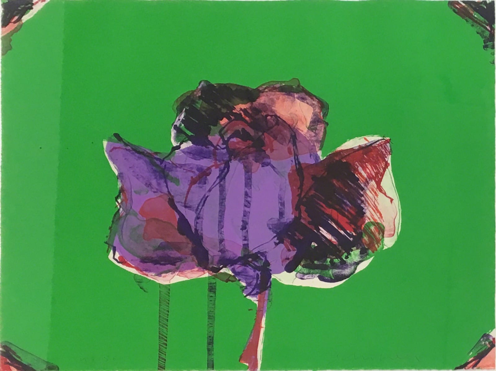 lithograph by Fritz Scholder