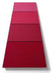 Ronald Davis, Rose Red Taper, 2009