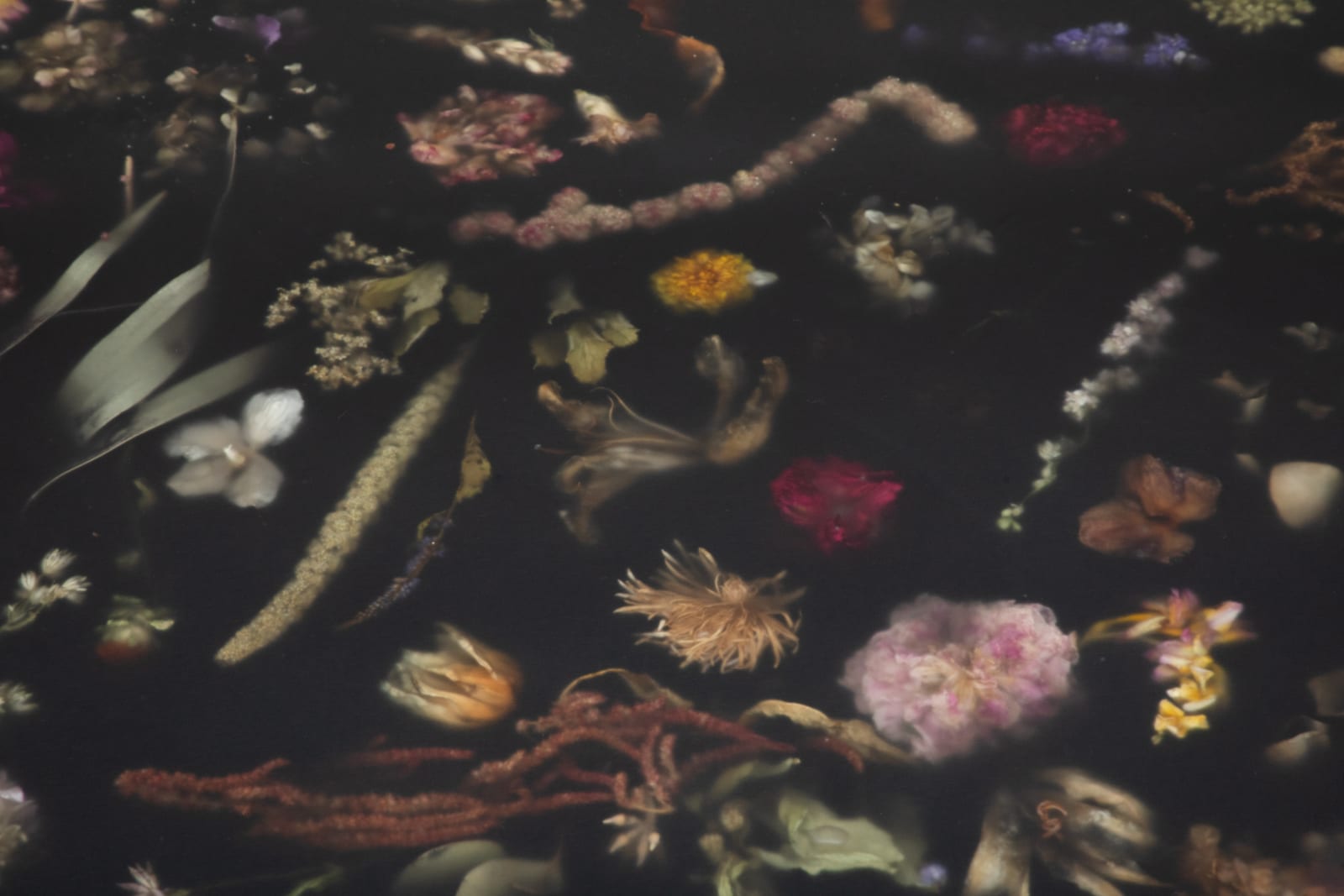 Marcin Rusak, Flora Low Coffee Table 165 I, 2024