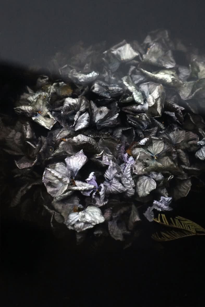 Marcin Rusak, Flora Table 114