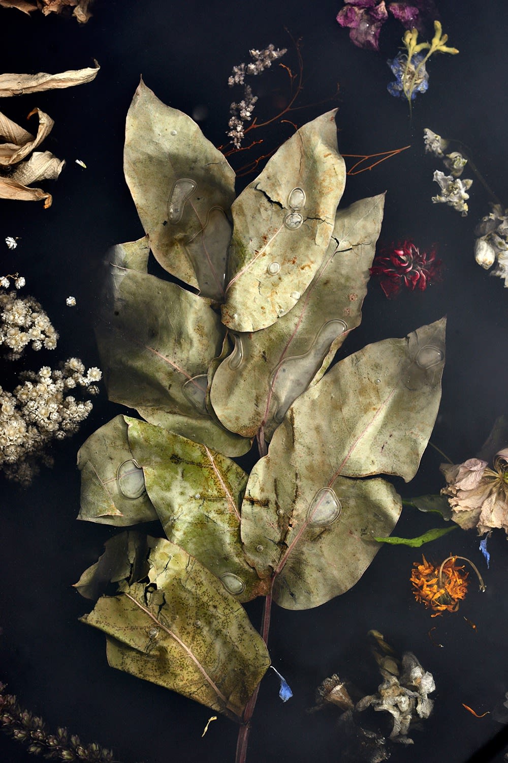 Marcin Rusak, Flora Dining Table 280, 2018