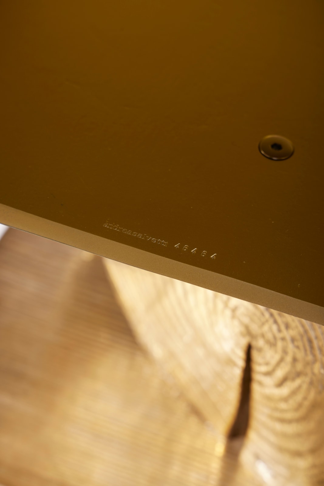 Andrea Salvetti, Totem 46464, 2023