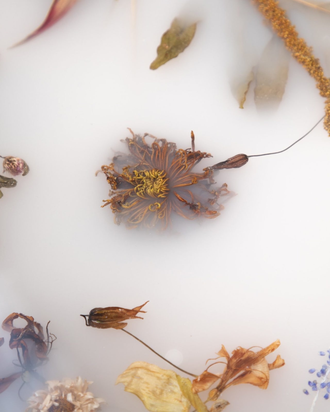 Marcin Rusak, Flora Credenza Misty White 276 Oak, 2025