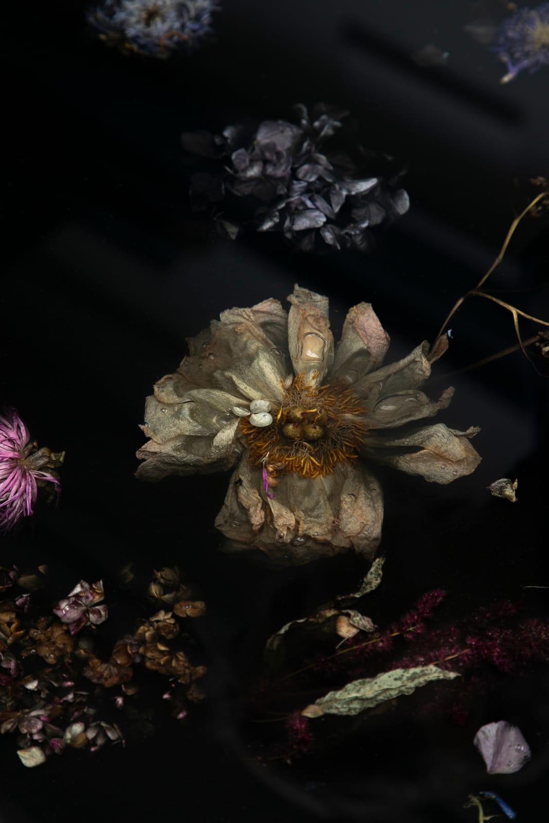 Marcin Rusak, Flora Large Table, 2017