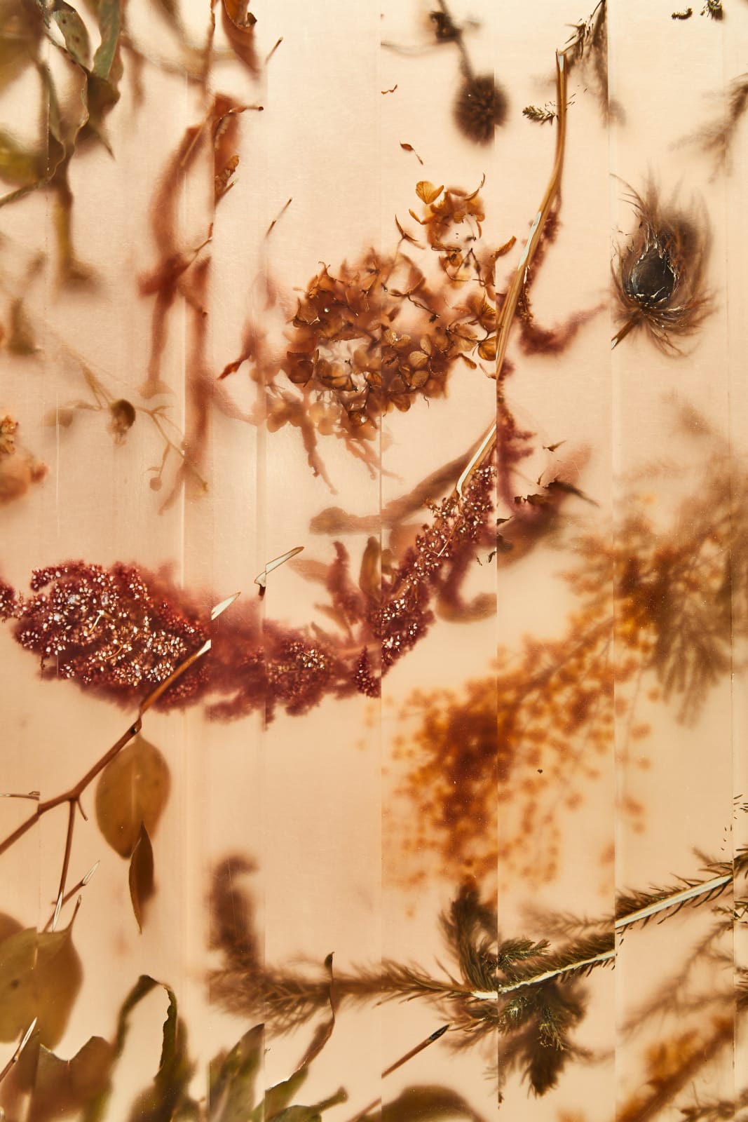 Marcin Rusak, Flora Cabinet 190 Clear Amber, 2021