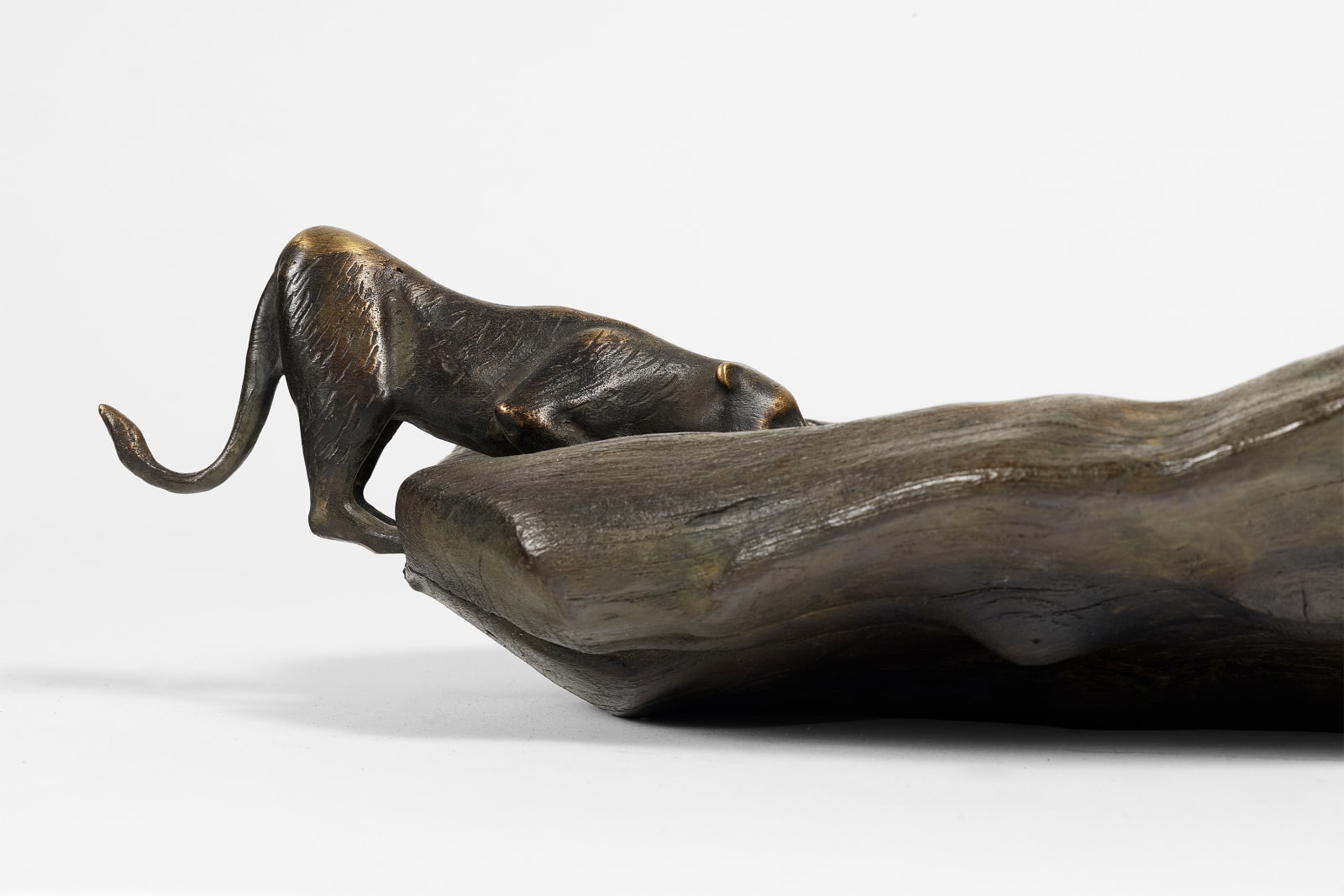 Richard Texier, Panther Thirst, 2021