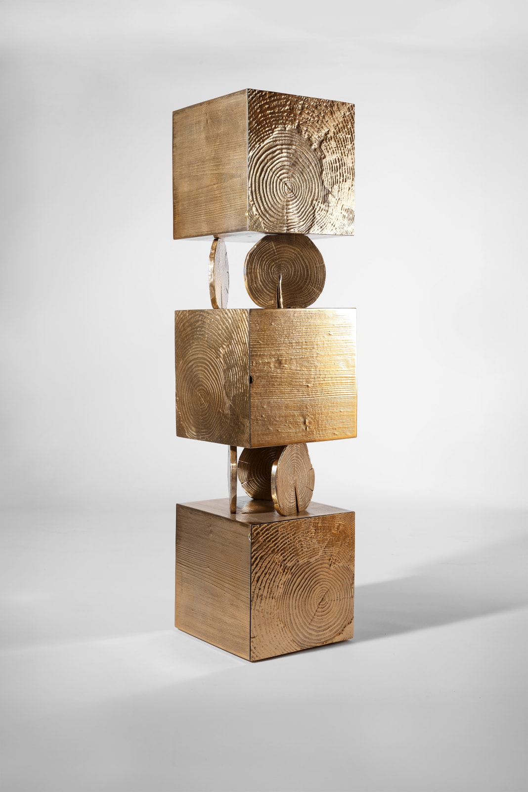 Andrea Salvetti, Totem 46464, 2023