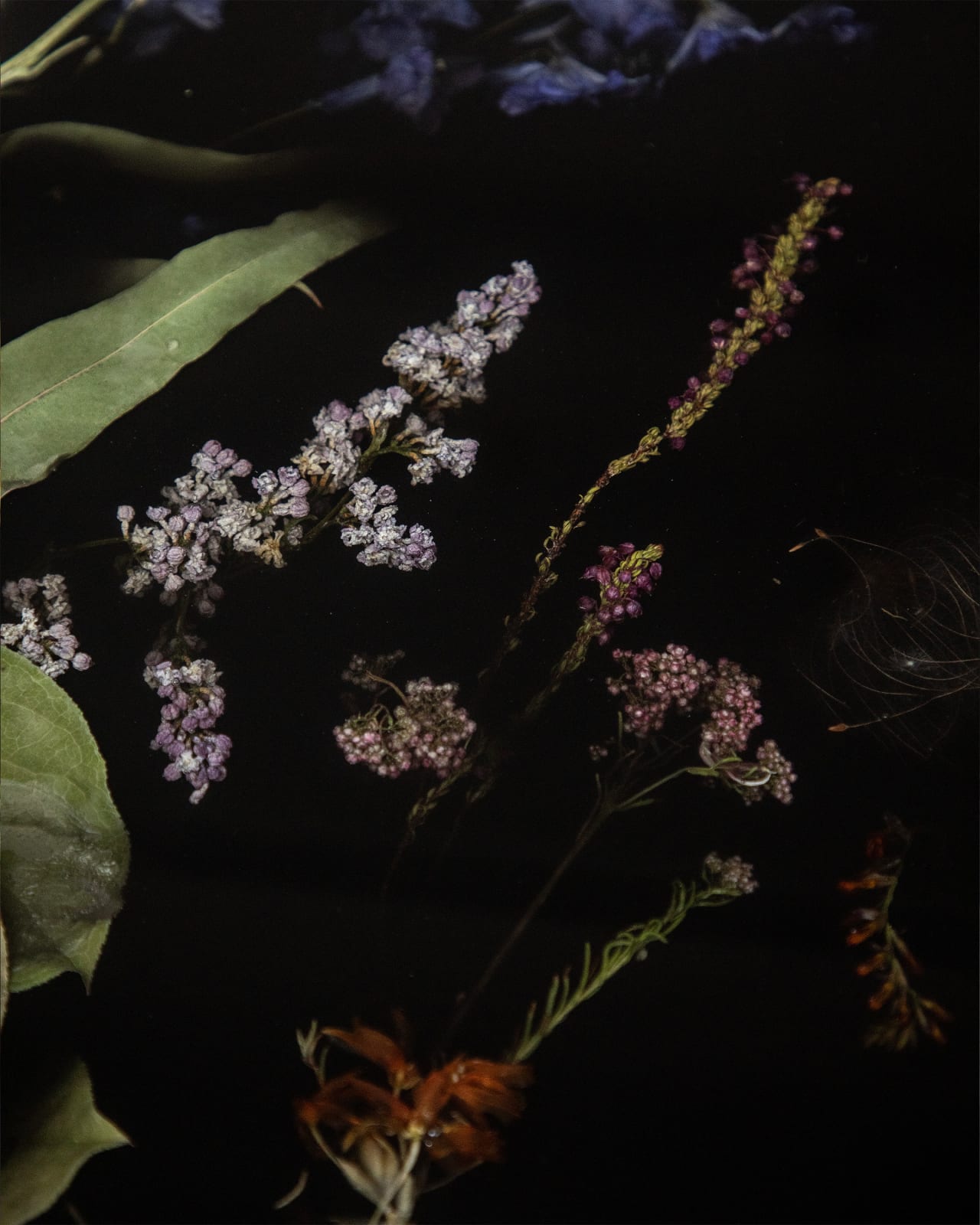 Marcin Rusak, Pair of Flora Sister Tables 91, 2024