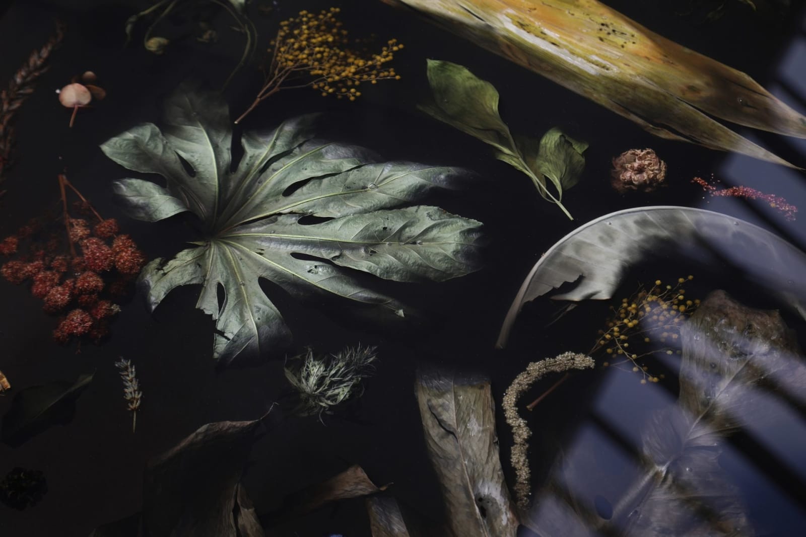 Marcin Rusak, Flora Low Coffee Table II, 2017