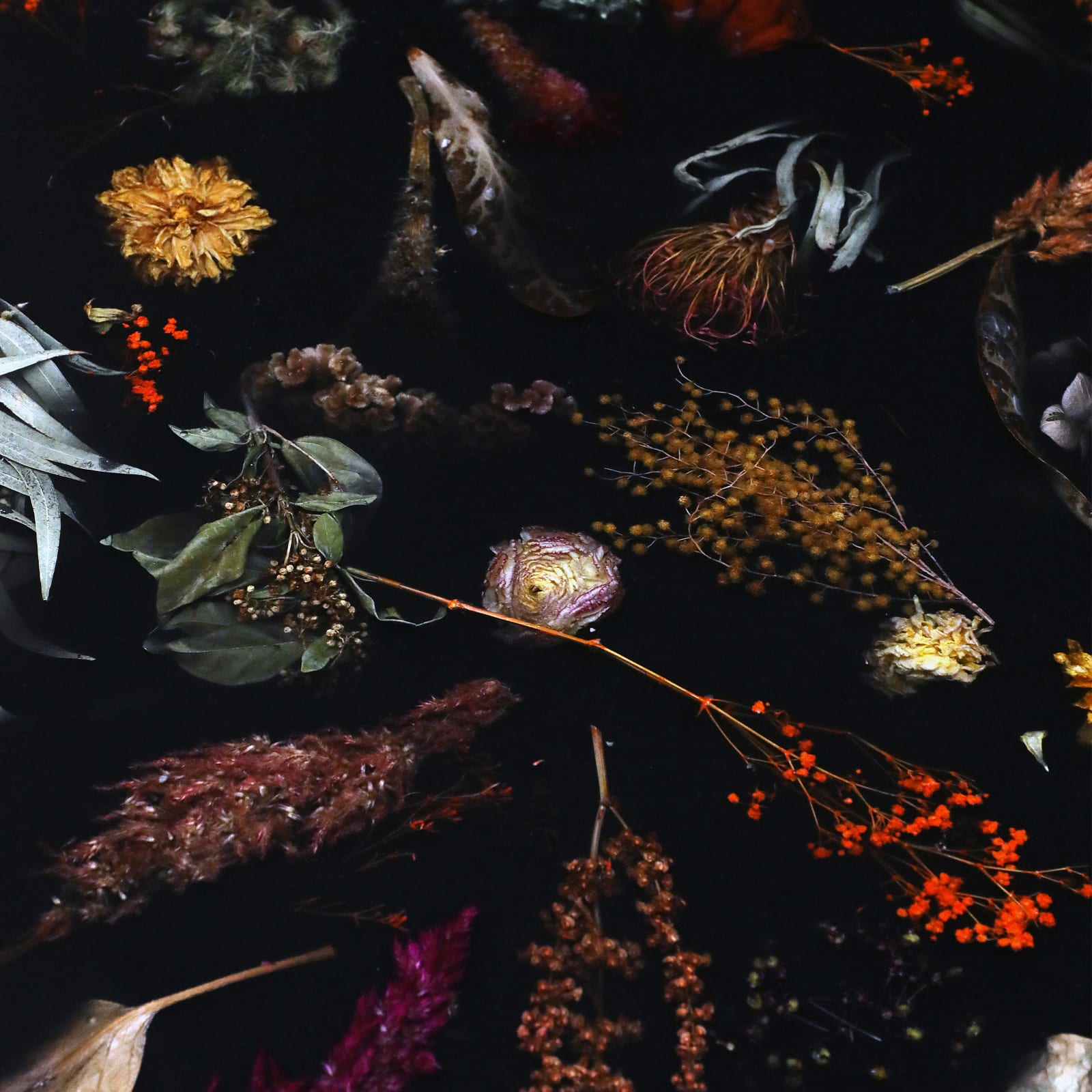 Marcin Rusak, Flora Table 120, 2019