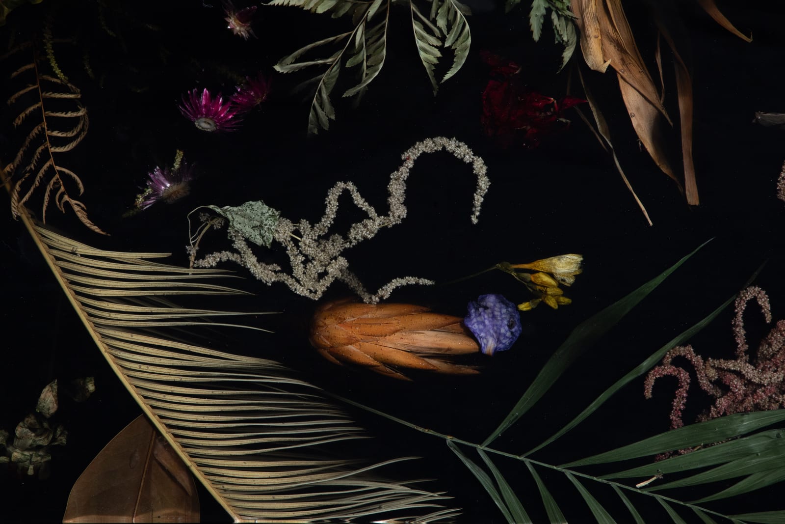 Marcin Rusak, Flora Low Coffee Table 165 II, 2024