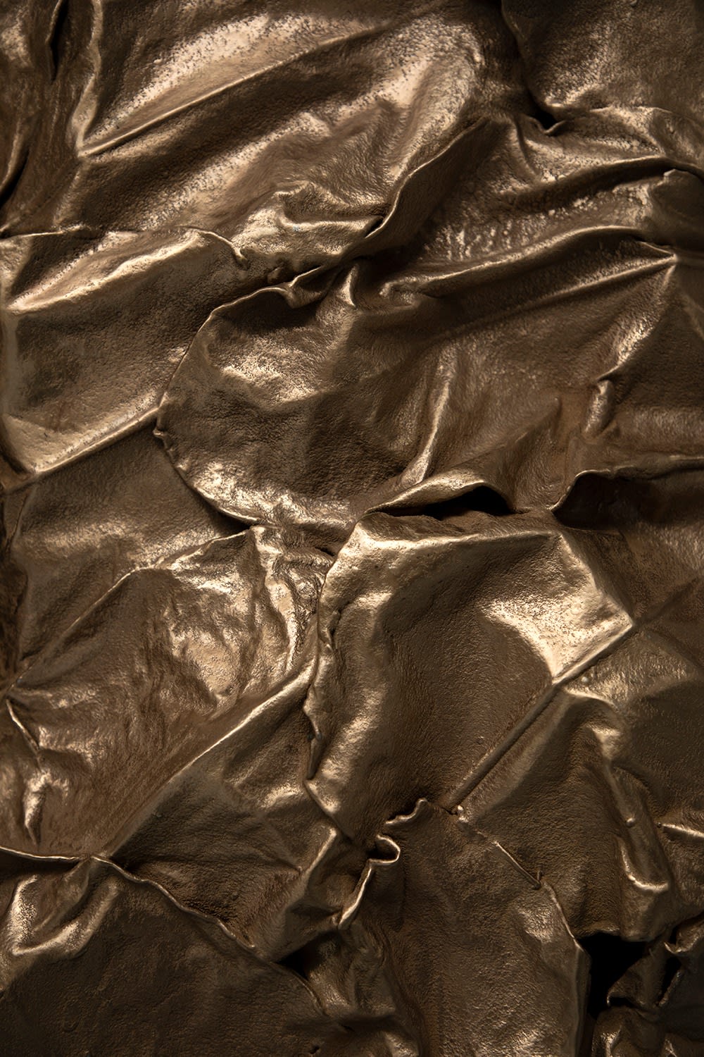 Marcin Rusak, Protoplasting Nature Cabinet Bronze, 2021