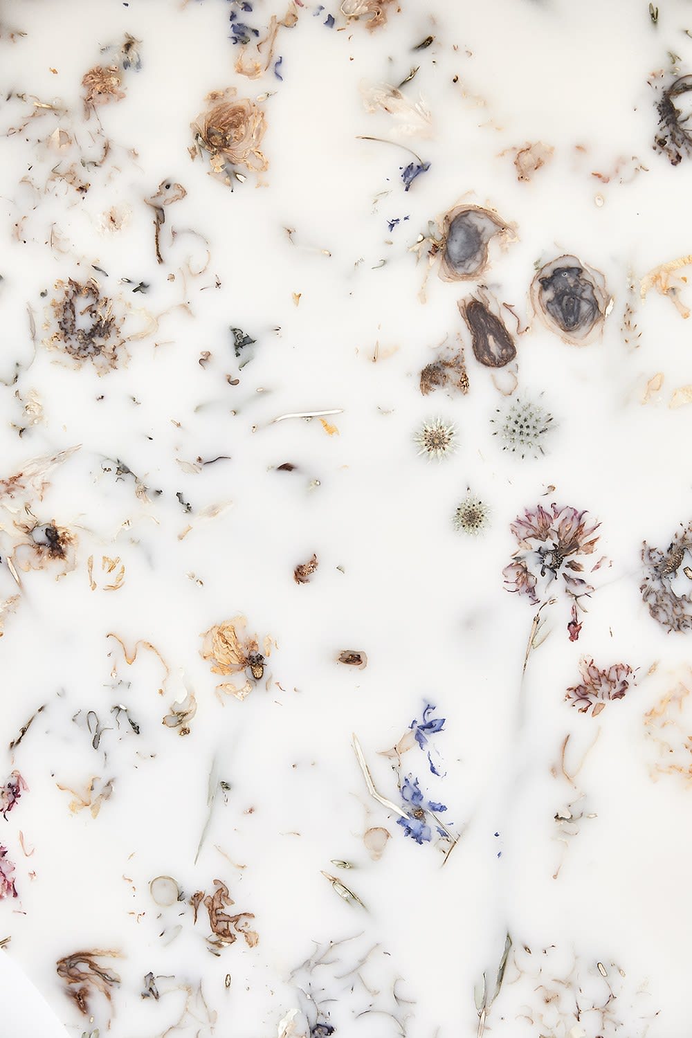 Marcin Rusak, Flora Perma Cabinet 143 Oak, 2021