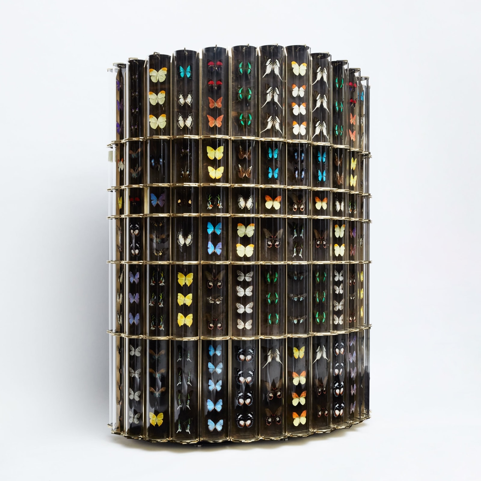 Erwan Boulloud, Bar des Curiosités, 2024