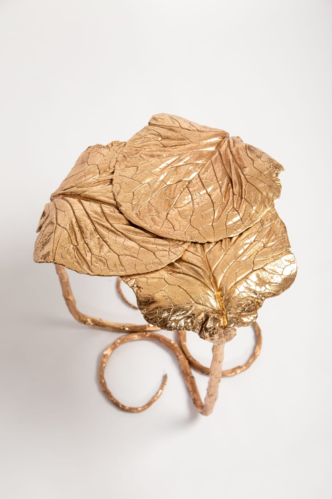 Clotilde Ancarani, Clover Table II, 2020