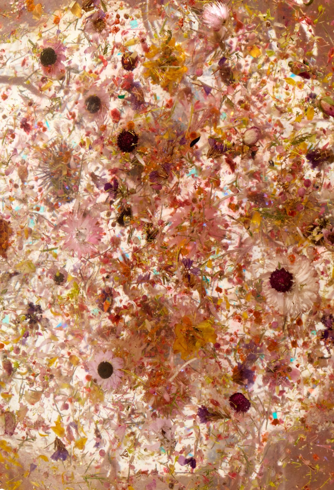 Hélène de Saint Lager, Table Fleurs d'Automne, 2023