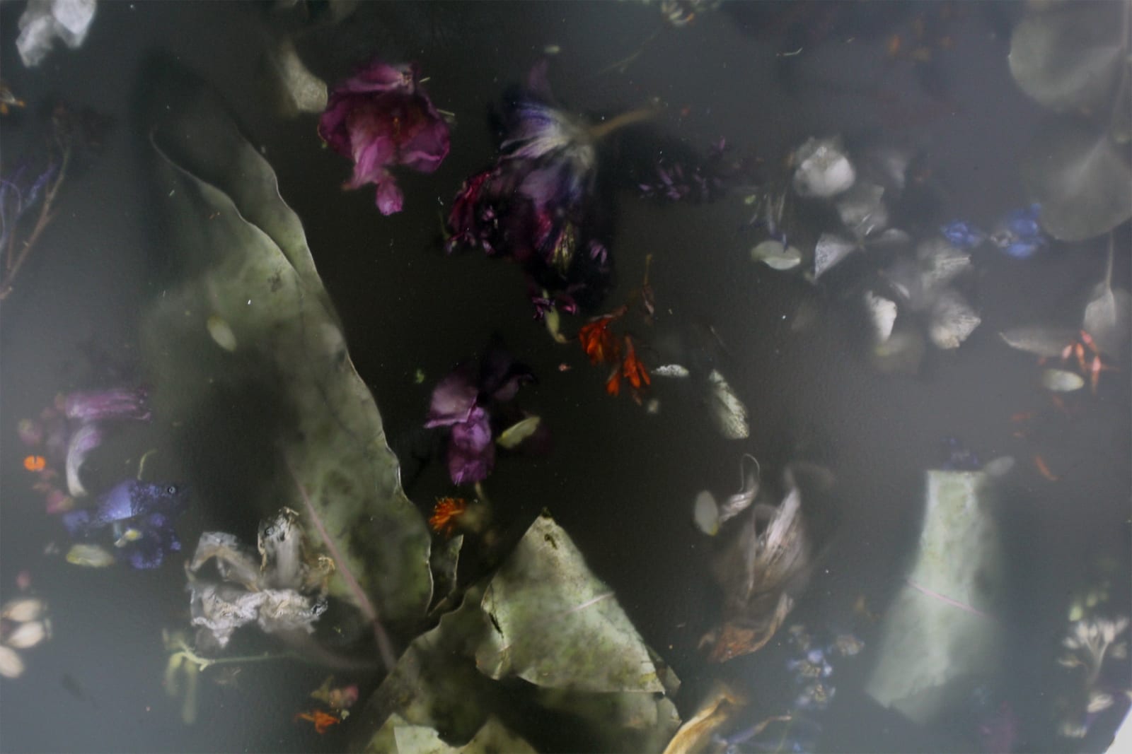 Marcin Rusak, Flora Lamp II, 2016