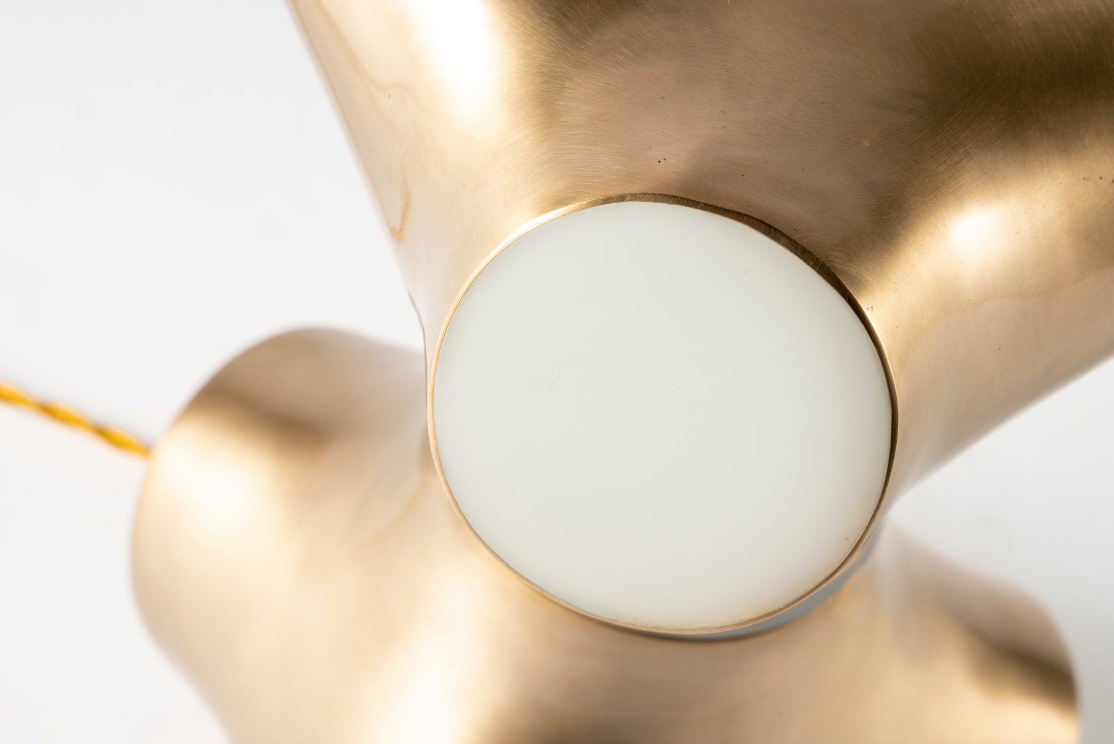 François Corbeau, Tree of Life, 2022