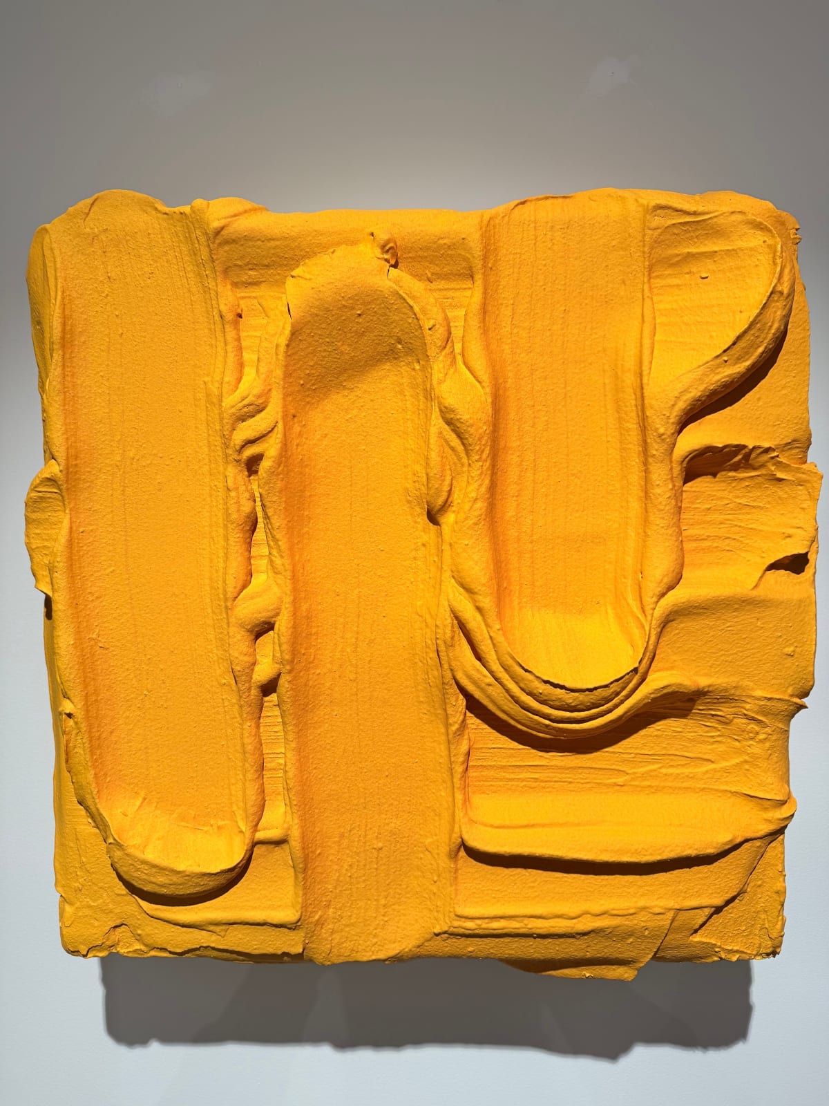 Van Der Tuin Harmen, Sunfold, 2025