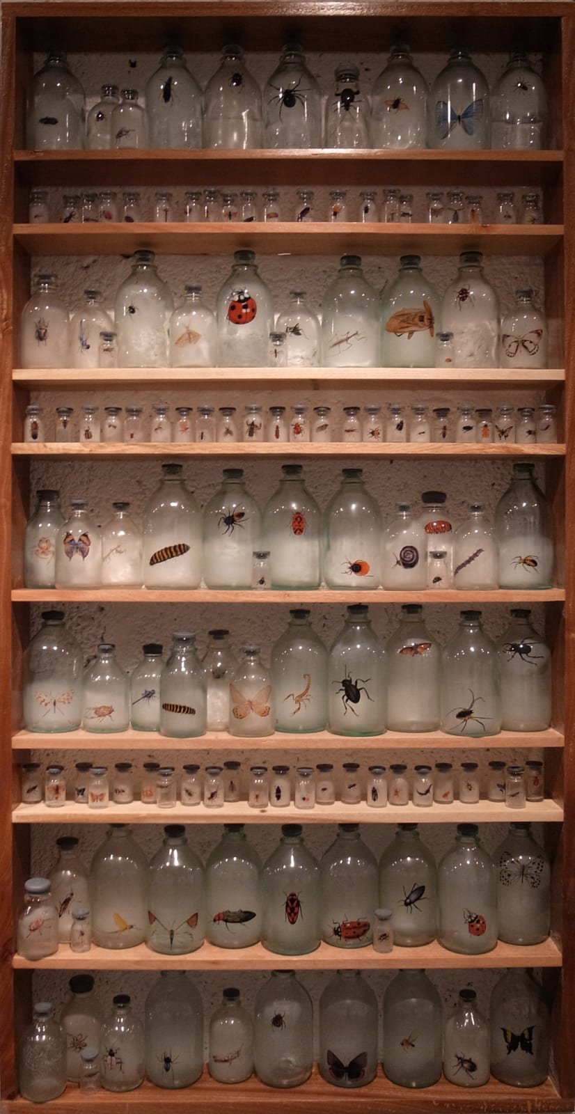 Liu Zhuoquan 劉卓泉, Story of Insects《昆蟲記》, 2011