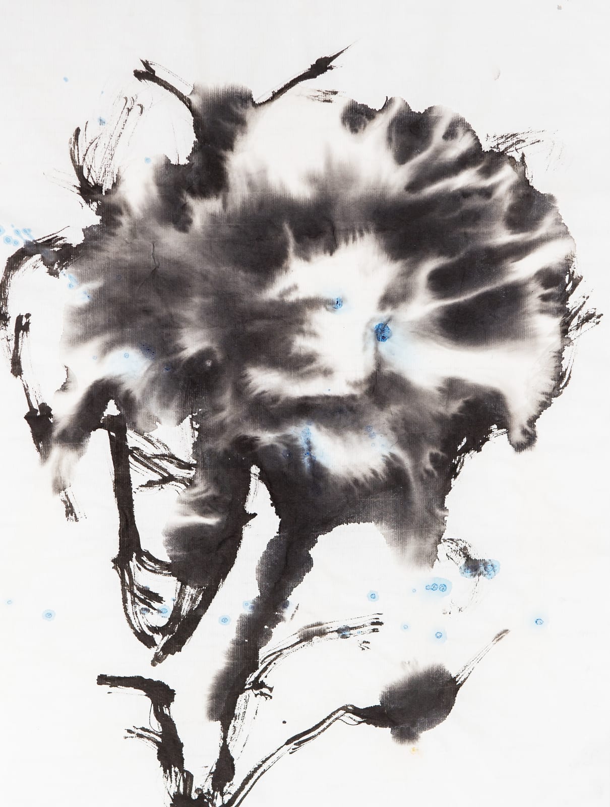 Chloe Ho 何鳳蓮, Fleur Noir《黑花兒》, 2017