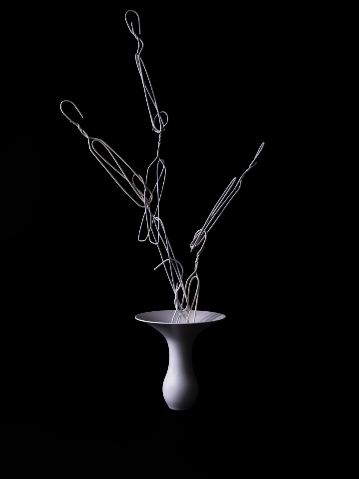 anothermountainman 又一山人, i see ikebana. they are ikebana. 17《我看花。便是花。17》, 2024