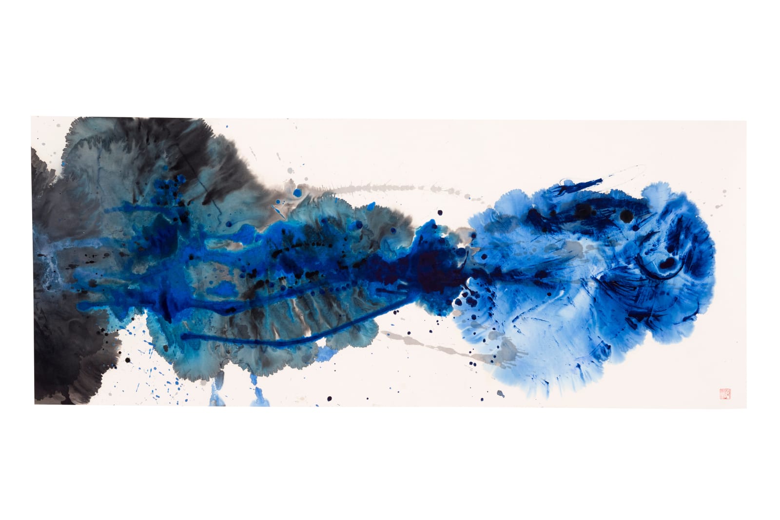 Chloe Ho 何鳳蓮, X-Ray Fish《X射線魚》, 2014