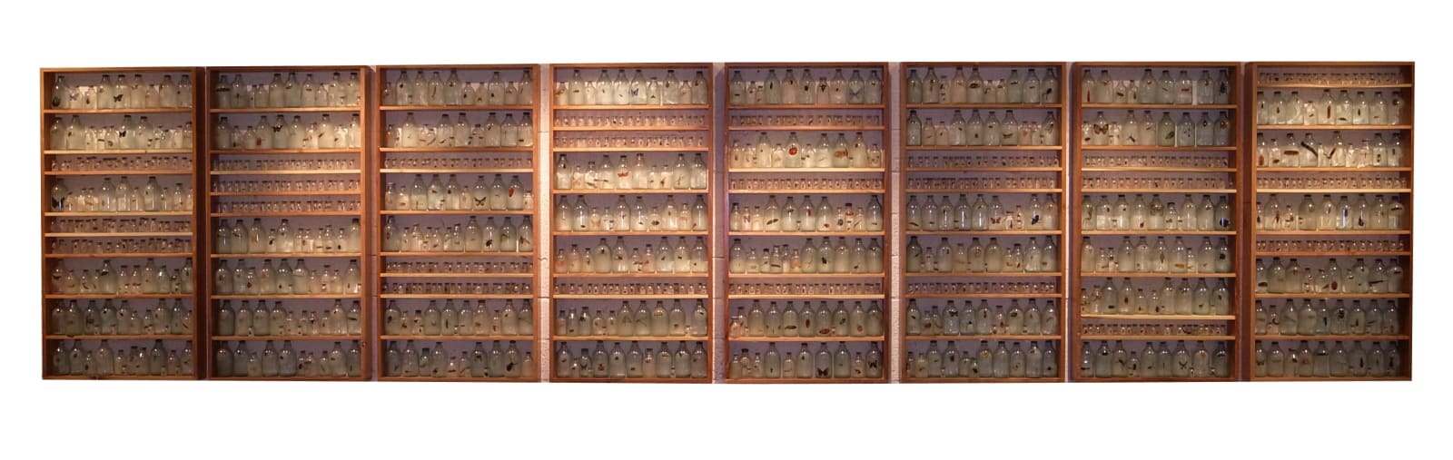 Liu Zhuoquan 劉卓泉, Story of Insects《昆蟲記》, 2011