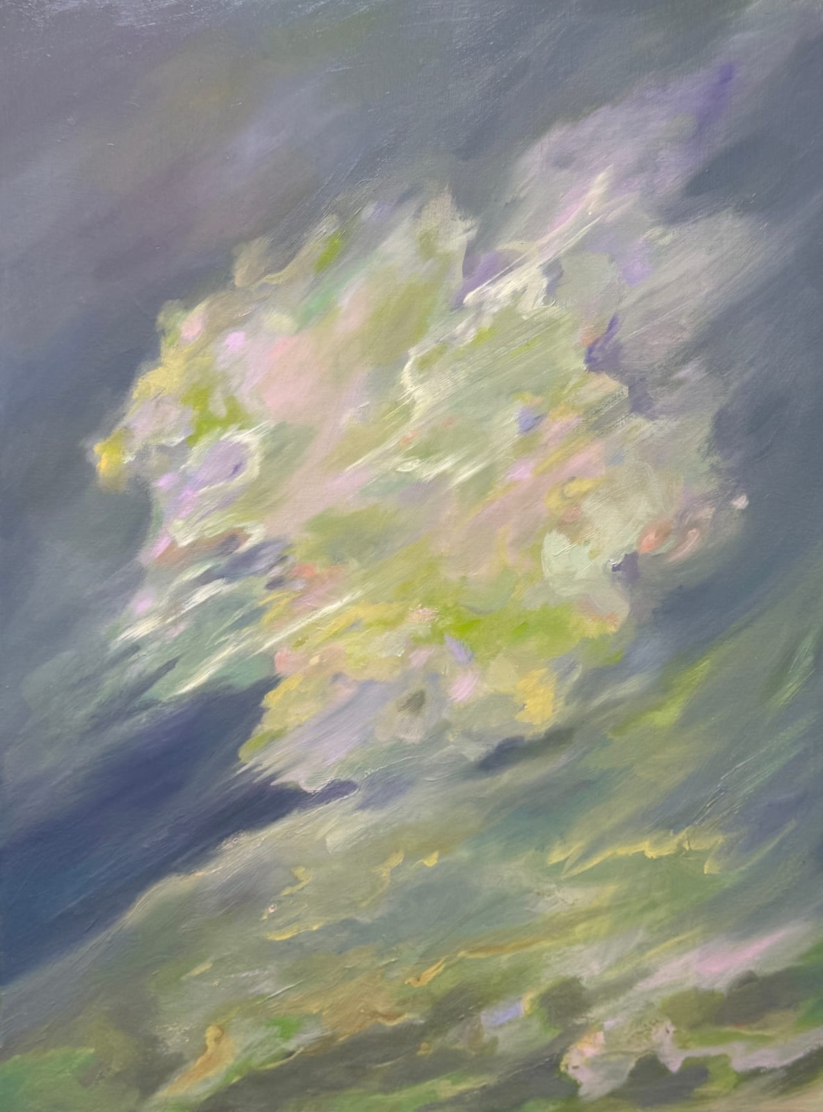 Joanne Chan 陳頌欣, Eclipsed Glow《雲藏星謐》, 2020