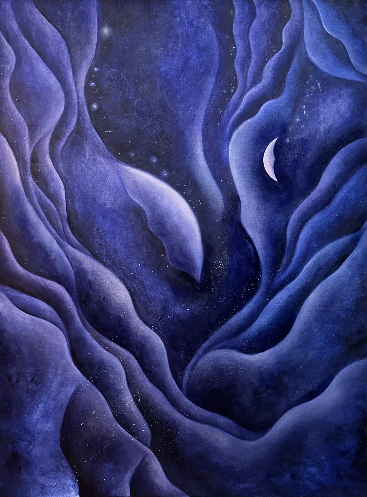 Natalie Cheng 鄭嘉盈, Velvet Is the Night《夜漫》, 2024