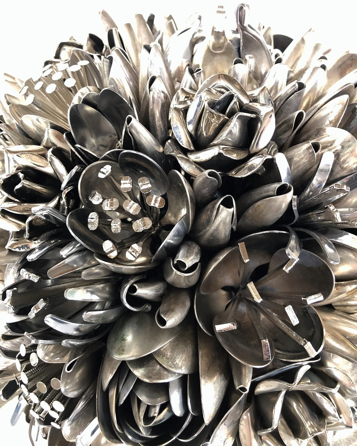 Ann Carrington, Larkspur, 2021