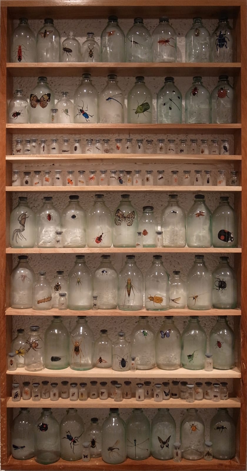 Liu Zhuoquan 劉卓泉, Story of Insects《昆蟲記》, 2011