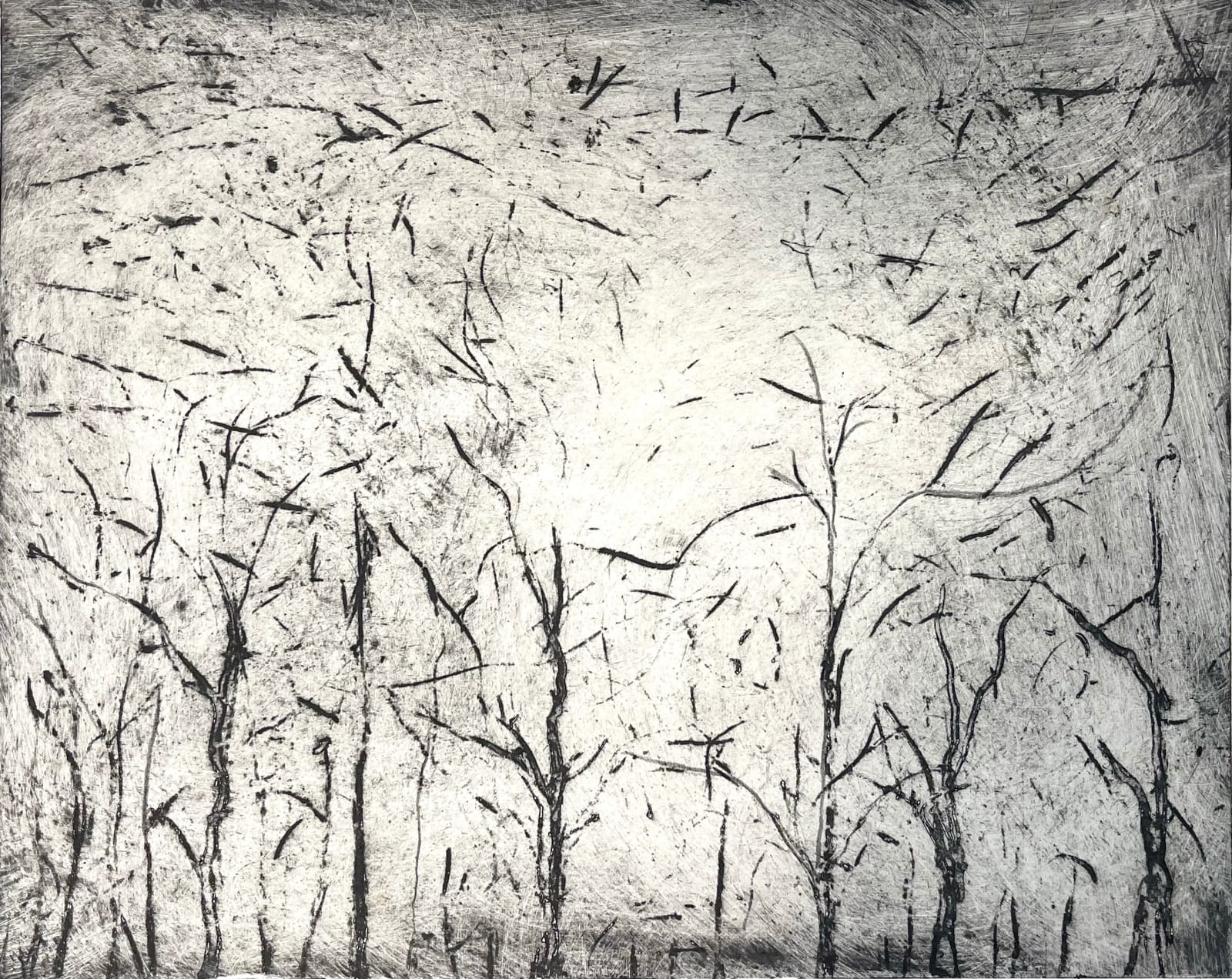 Laurie Dolphin, UNITED, 2022