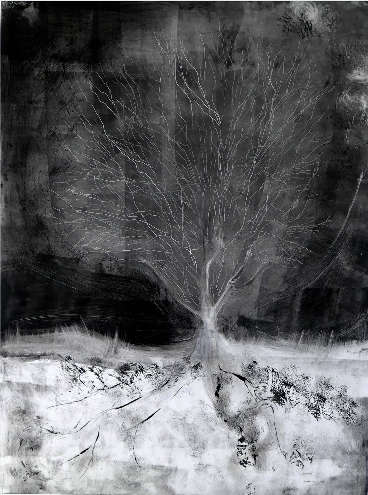Laurie Dolphin, NOCTURNAL MAPLE TREE, 2022