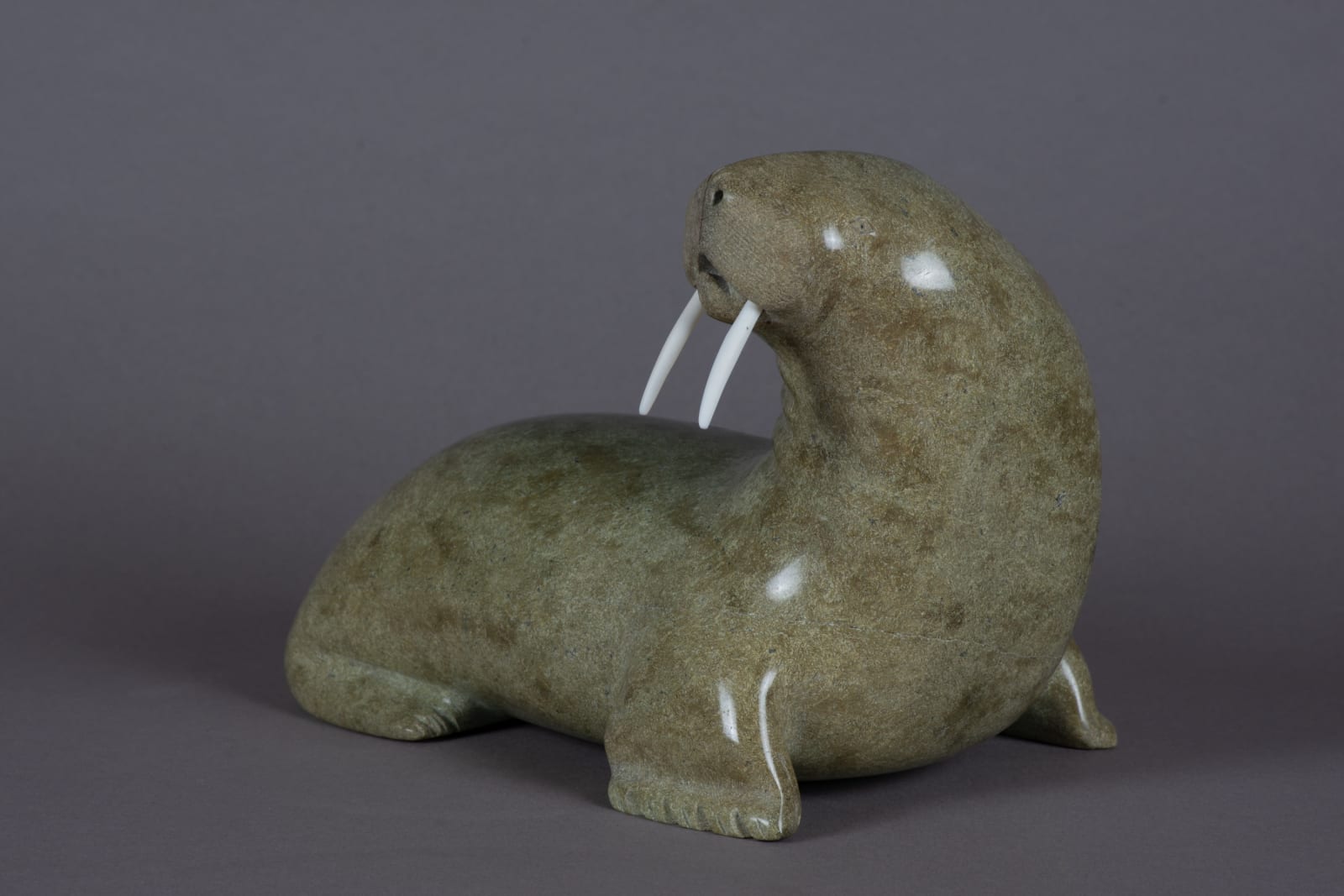 Nalenik Temela, Walrus / morse, ca. 1975