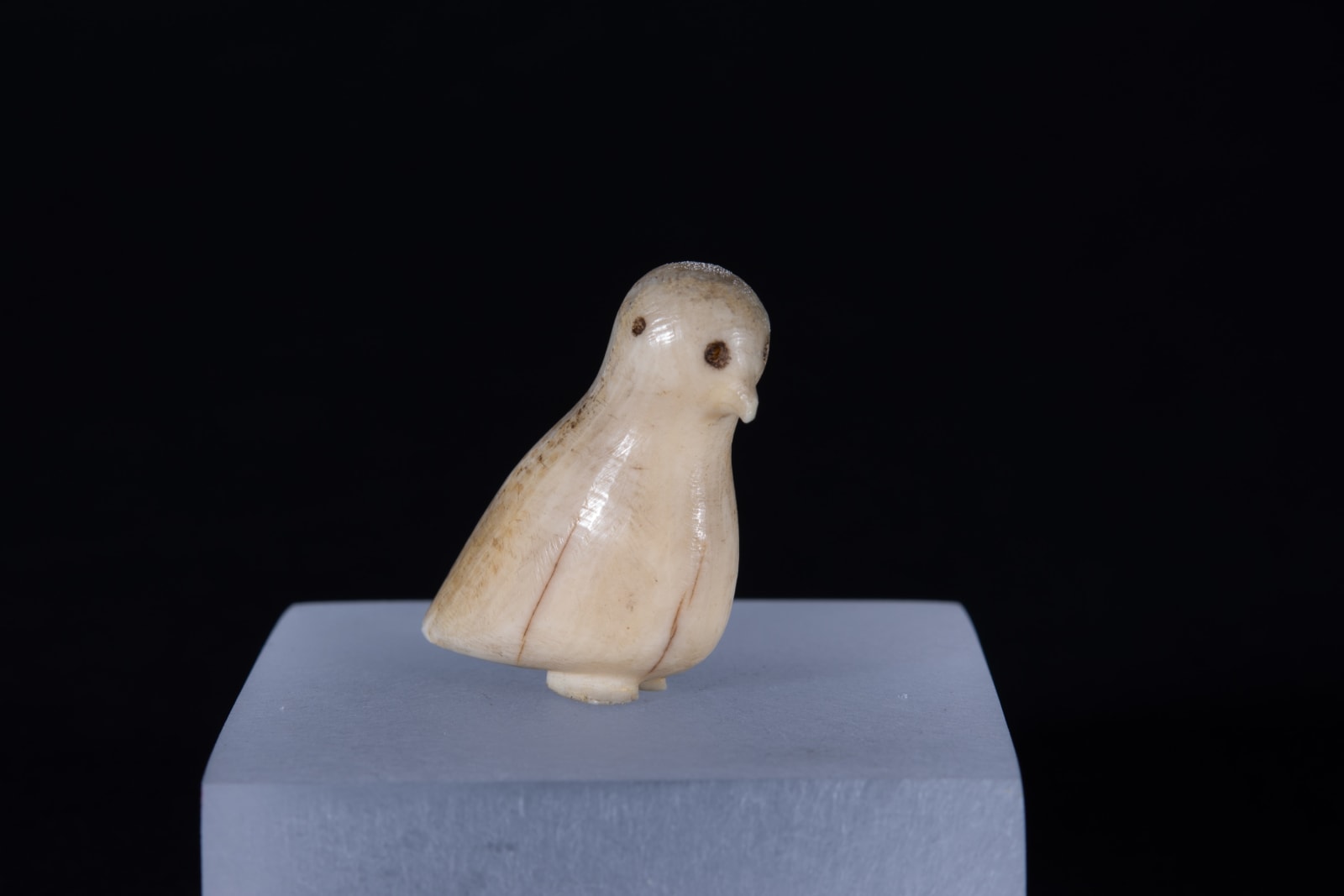 Unidentified Nunatsiavut / Non-identifié Nunatsiavut, Bird / oiseau, Ca. 1890-1900